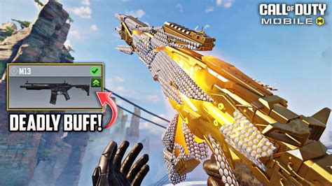 Image result for M13 Codm