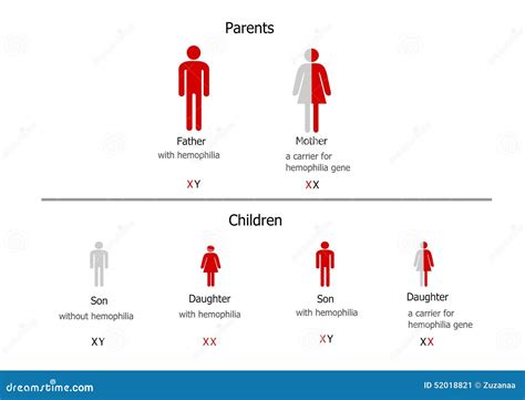 Hemophilia inheritance stock illustration. Illustration of inheritance ...
