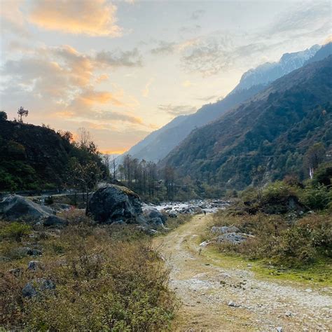 LE COXY RESORT (Lachung, Sikkim) - Hotel Reviews, Photos, Rate ...