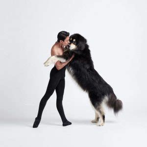 与狗共舞！当芭蕾舞蹈家和狗同框，另类的美！-我的灵感创意