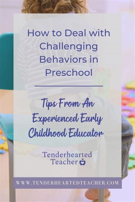 Image result for Challenging Behavior Example in Preschool