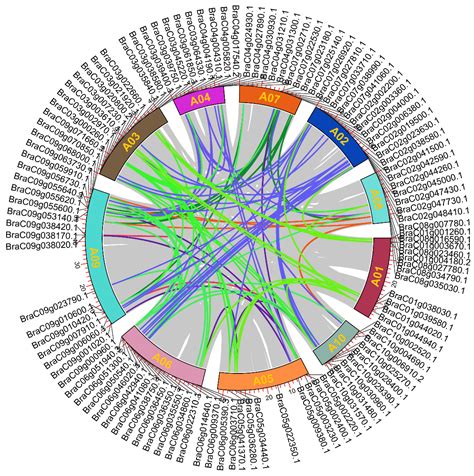 In-Depth Characterization of bZIP Genes in the Context of Endoplasmic ...