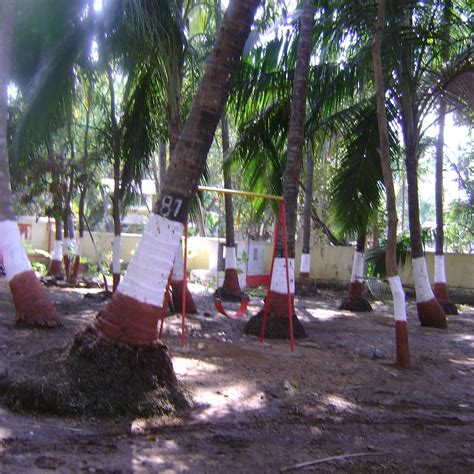 ANISHA RESORT (Alibaug, Maharashtra) - Hotel Reviews & Photos - Tripadvisor