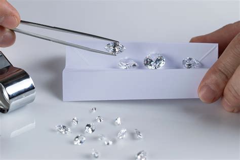 TDE「7つの約束」加盟企業全体でSDGsに貢献する国内版SoW