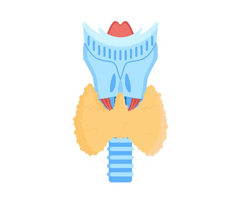 Everything you need to know about important thyroid tests