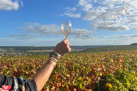 Wine Day Trip from Paris to Sancerre: 10 tastings & lunch