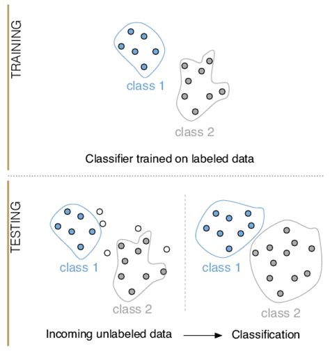 Image result for Example of Classification
