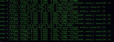 Pytorch Dataset 的图像结果