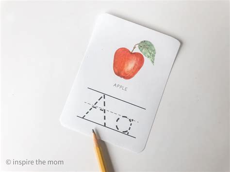 100+ Objects that Start with A - (Alphabet Items A-Z)