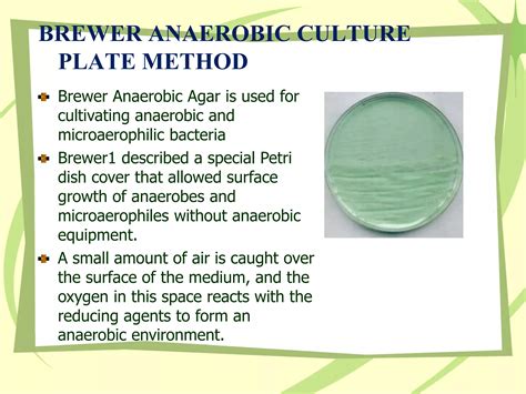 Cultivation of Anaerobic Bacteria | PPTX