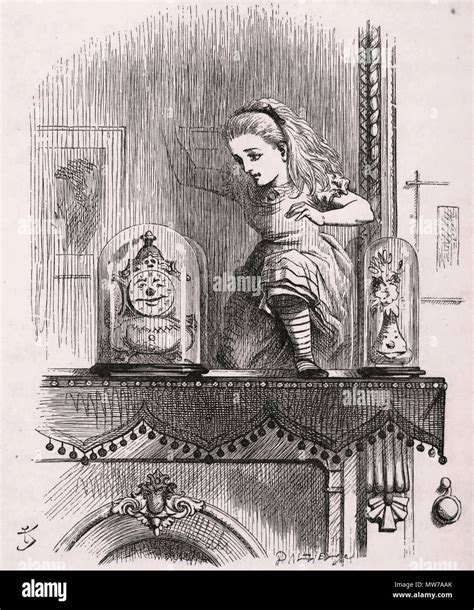 Through The Looking Glass Art