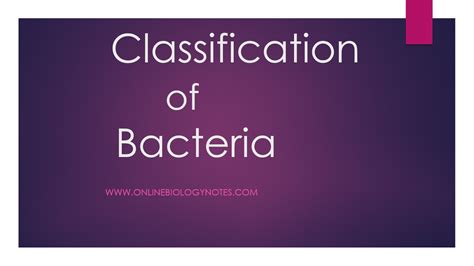 Image result for Types of Bacteria Classification