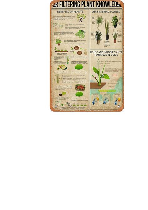 Planta de Filtragem de Ar Vintage Sinal de Lata - Angola | Ubuy