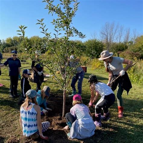 Image result for Community Tree-Planting