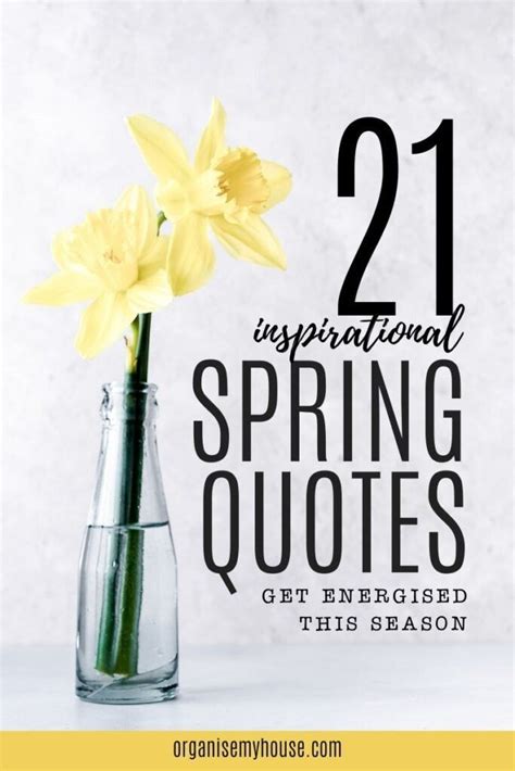 Image result for Inspirational Reflection for Spring
