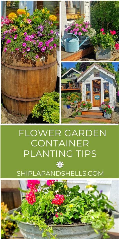 Image result for Simple Flower Containers