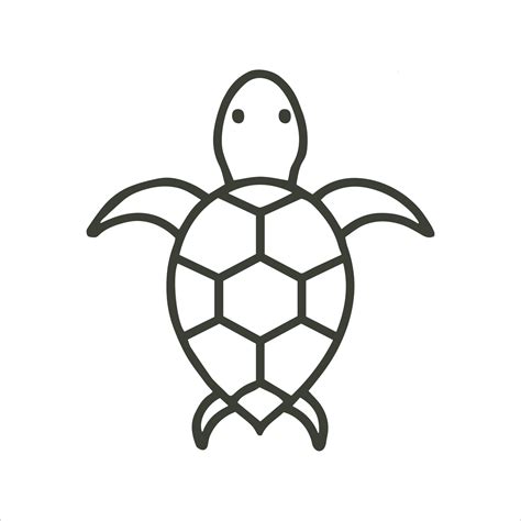 Image result for Simple Turtle Drawing