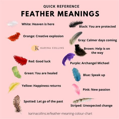 What Does Feather Your Nest Mean at Terry Cooper blog