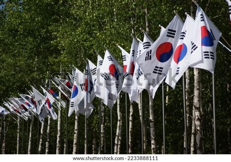 韩国flag 的图像结果