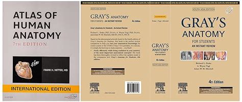 Buy Atlas of Human Anatomy, International Edition, 7e & Gray's Anatomy ...