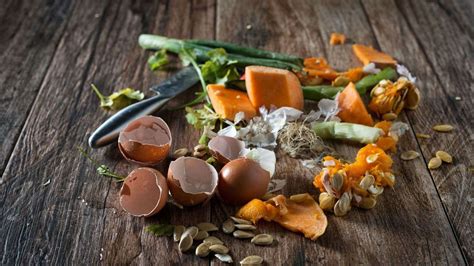 Image result for Composting Questions