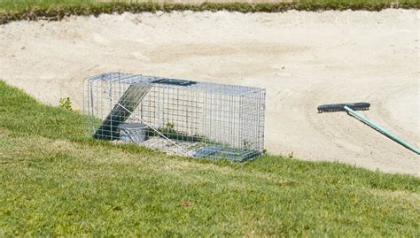 Image result for Gopher Traps