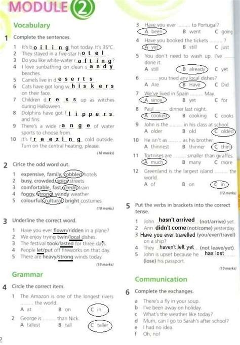 Sam Exam Access Module 06 Creating Forms 的图像结果