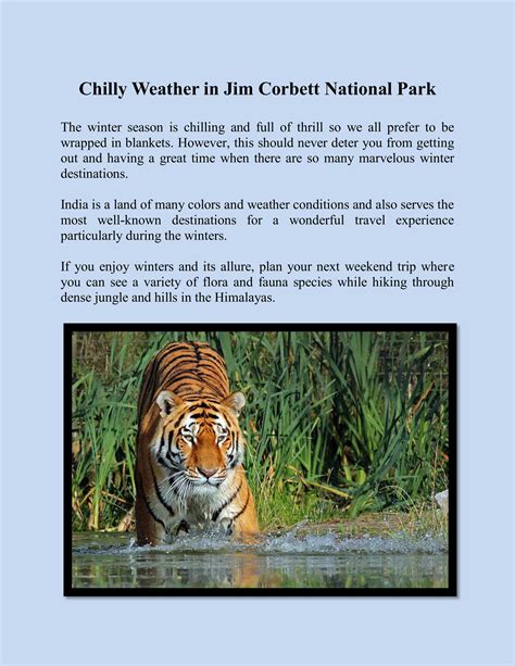 Chilly Weather in Jim Corbett National Park by jimcorbett safari - Issuu