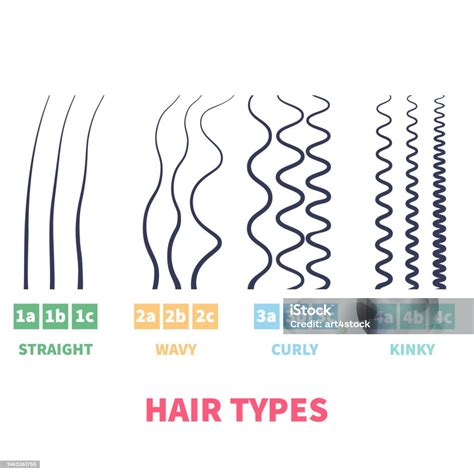 Hair Types Classification at William Melendez blog