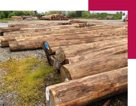 Impex & Logistics from UB Aggarwal Group of Industries, Gujarat