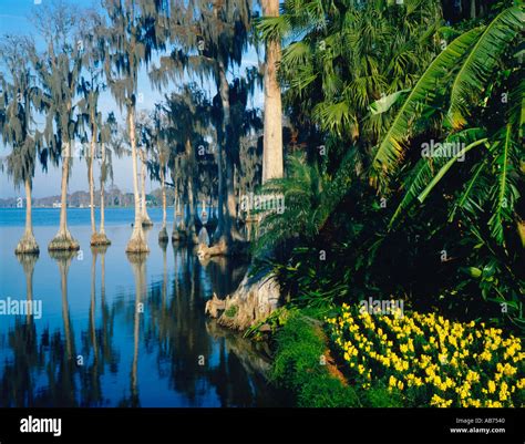Cypress gardens florida -Fotos und -Bildmaterial in hoher Auflösung – Alamy
