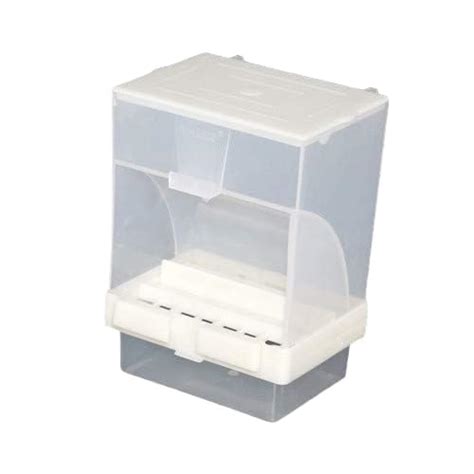 Birds Corner Automatic Seeds Feeder (300 ML) Size Suitable for Finches ...