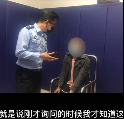 私家车使用日本军旗等辱华贴纸 涉事男子被拘留15日-中国长安网