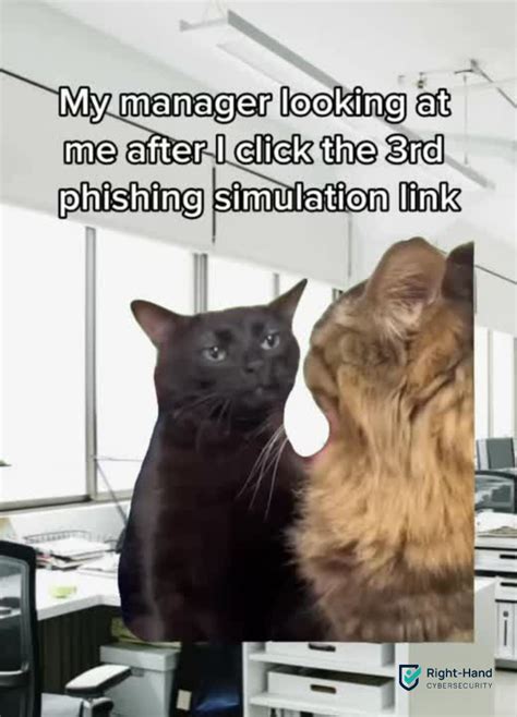 Image result for Cyber Security Meme Human Error