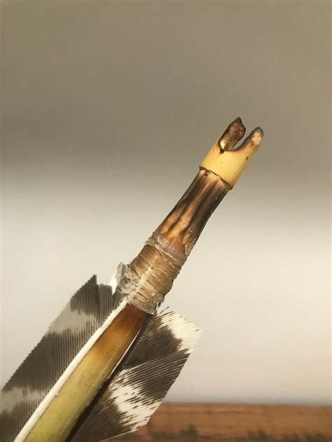 Making Primitive Arrows 的图像结果