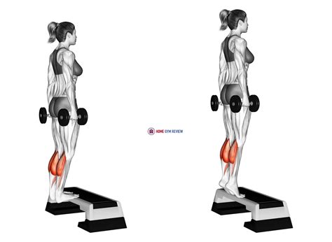 Dumbbell Standing Calf Raise (female) - Home Gym Review