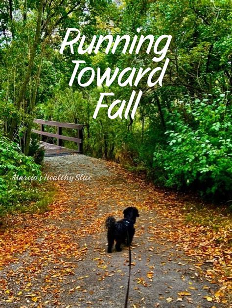 Fall Running 的图像结果