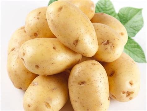 土豆和马铃薯的区别（马铃薯和土豆是一个东西吗） - 搞机Pro网