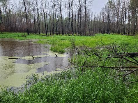 6 weeks ago this was all on fire : r/alberta