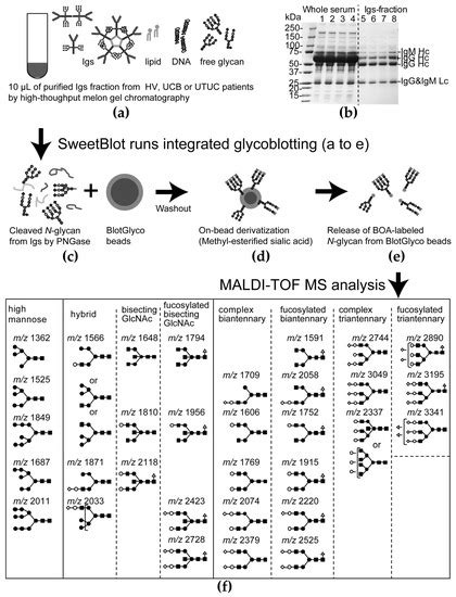 Aberrant N-Glycosylation Profile of Serum Immunoglobulins is a ...