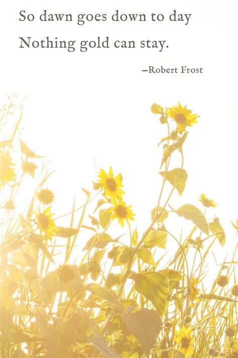 Nothing Gold Can Stay Poem Print Robert Frost Poetry Wall Art Print ...