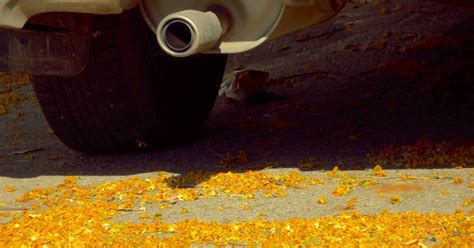 How to Clean Engine Compartment 的图像结果