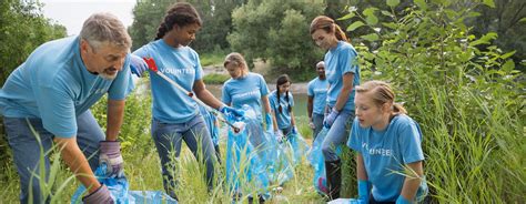 Environmentalism 的图像结果