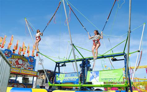 Image result for bungee