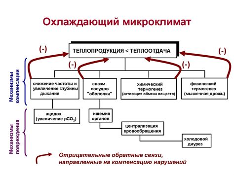 МБО БЖД 2022. Лекция 9. Микроклимат - презентация онлайн