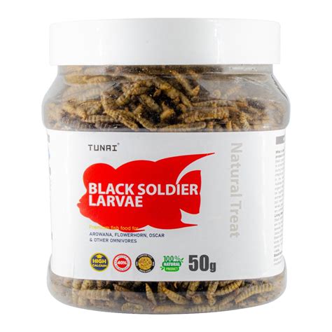 Tunai Black Soldier Fly Larvae BSFL |50g| 60X More Calcium Than Meal ...