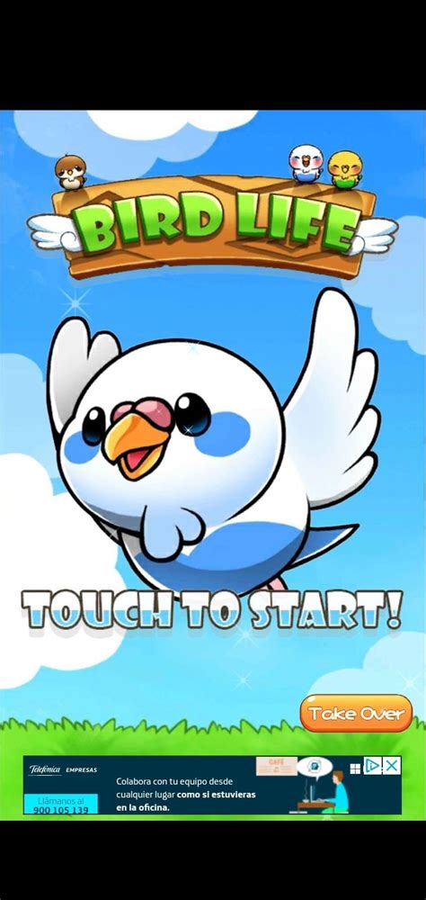 Bird Life APK Download for Android Free
