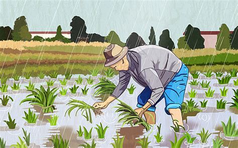 春天谷雨农民在田里插秧插画图片下载-正版图片401702357-摄图网