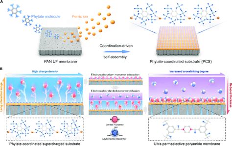 Image result for Interfacial Polymerization Applications
