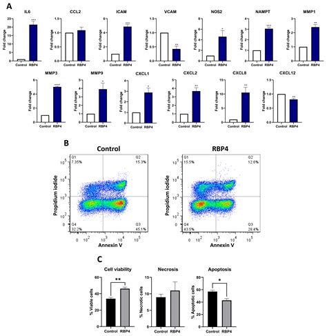 The Hepatokine RBP4 Links Metabolic Diseases to Articular Inflammation